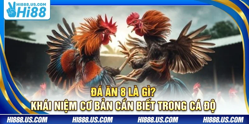 Đá ăn 8 là gì? Khái niệm cơ bản cần biết trong cá độ