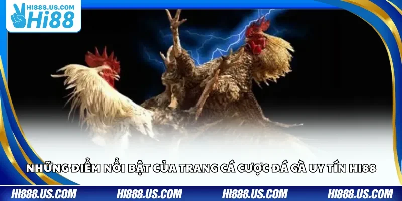Những điểm nổi bật của trang cá cược đá gà uy tín Hi88